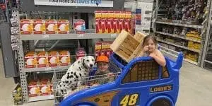 A dalmatian riding in a kids shopping cart with 2 young children