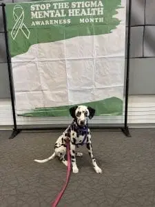 Mental heath support dog in front of a stop the mental health stigma poster