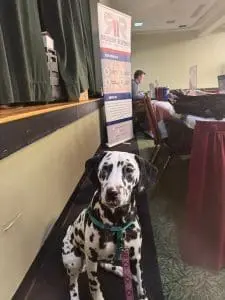 comfort dog in front of a resilient responders poster