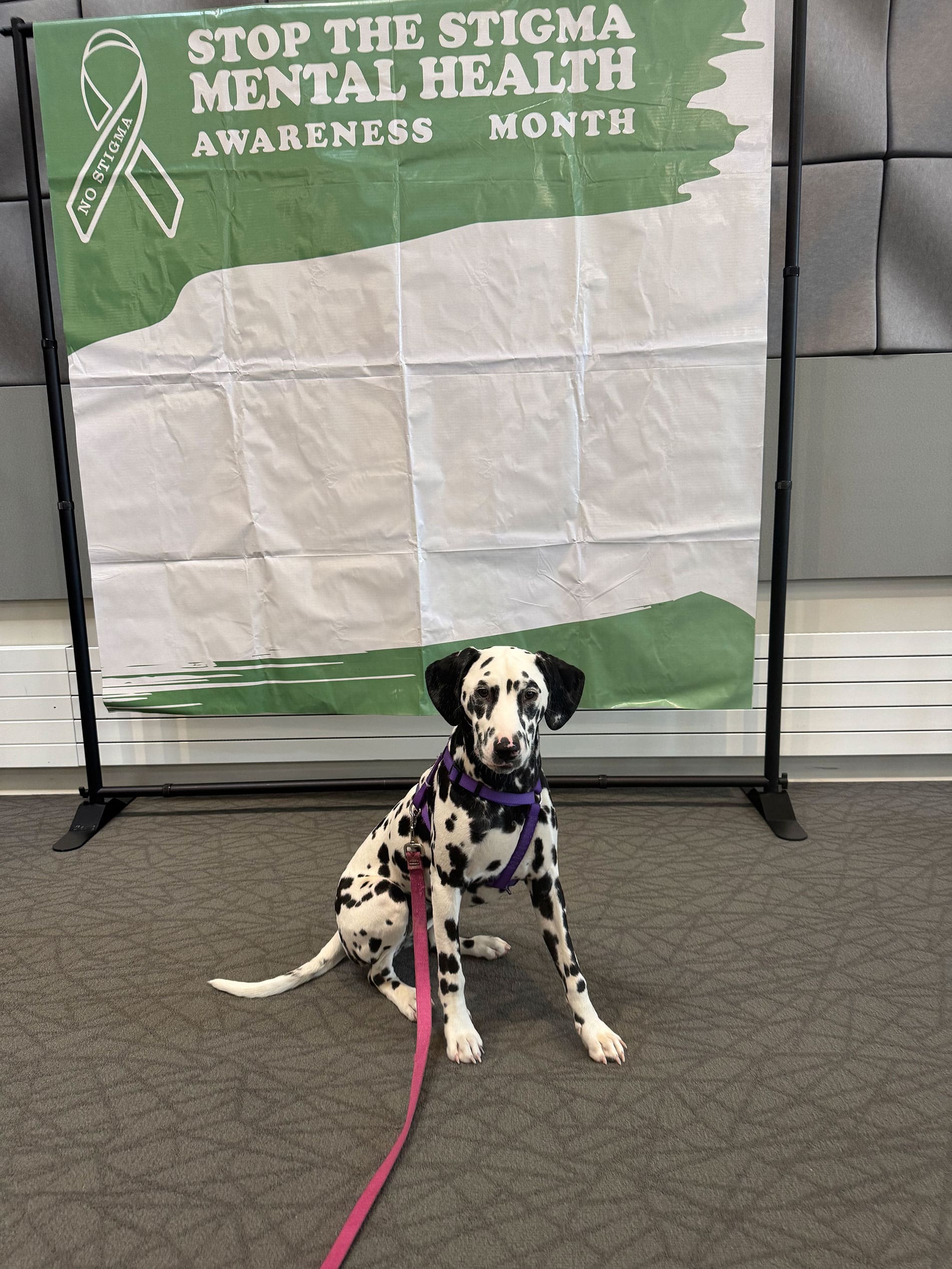 Ems Paws Home - Ember's Paws of Hope - Therapy Dogs for First Responders
